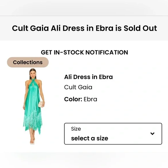 Cult Gaia | Ali Fringe Silk Maxi Dress - Picture 4 of 7